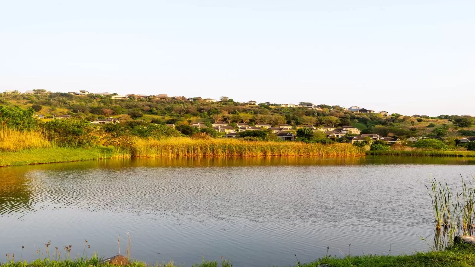 Zini River Estate Homeowners