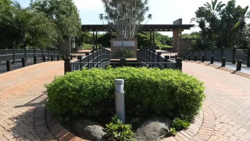 The Hawaan Forest Estate